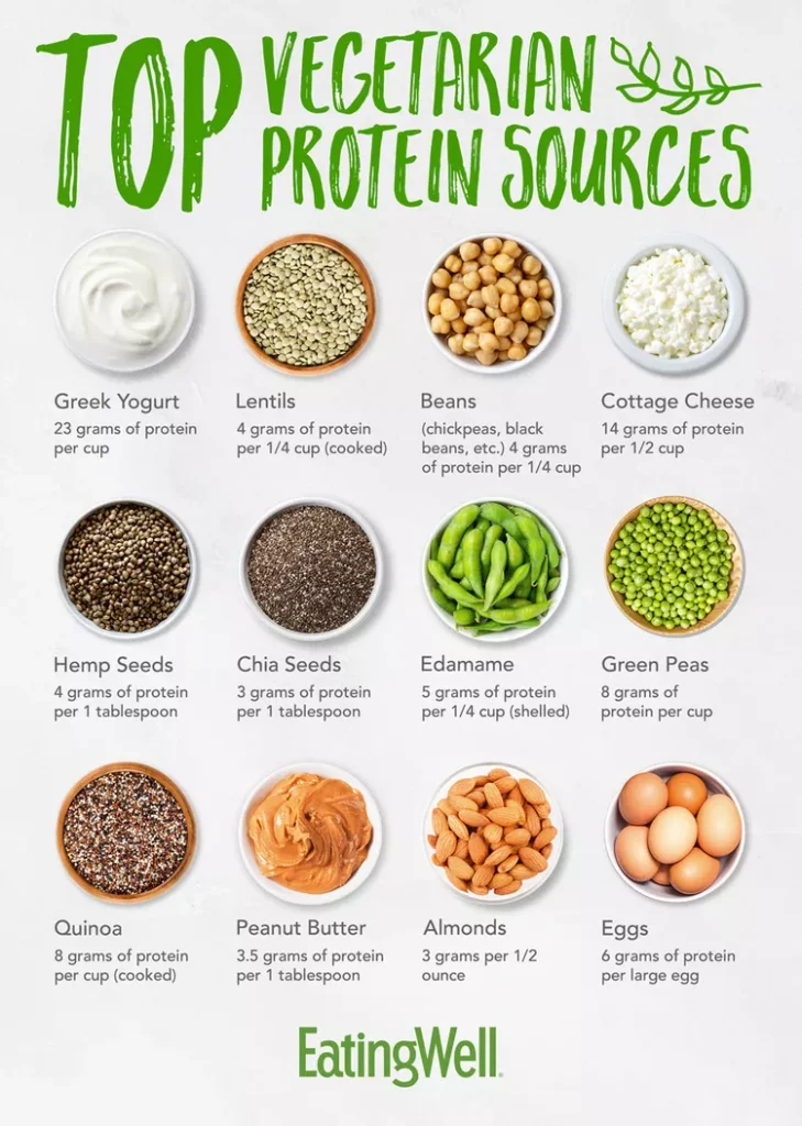 Top Vegetarian Protein Sources Top Vegetarian Protein Sources